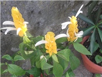 1befefa8-Picture 009.jpg